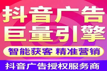 SEM搜索引擎优化策略解析与应用案例